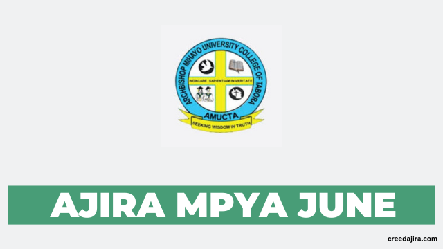 Assistant Lecturers Vacancy at AMUCTA