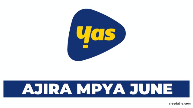 Strategic Execution Business Partner Vacancy at Yas