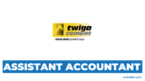 Assistant Accountant Vacancy at Twiga Cement Tanzania