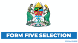 Form five selection 2025 PDF Released Check Out