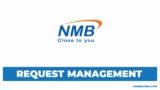 NMB Bank Tanzania Hiring Requests Management Analyst
