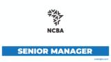 Senior Manager Financial Controller at NCBA Bank Tanzania